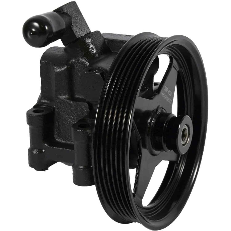 PUMP ASM P/S REMAN