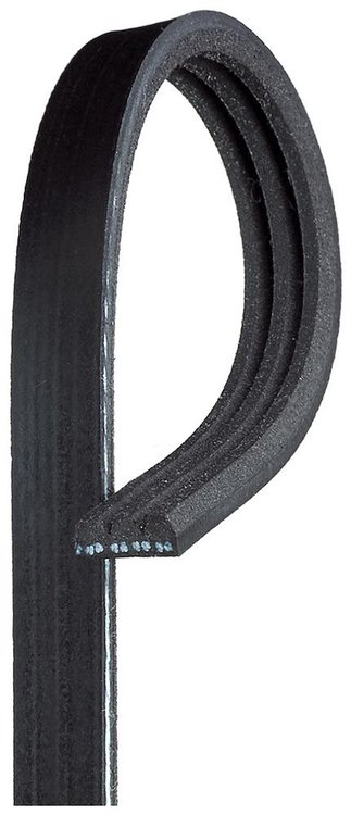 BELTFAN (B)