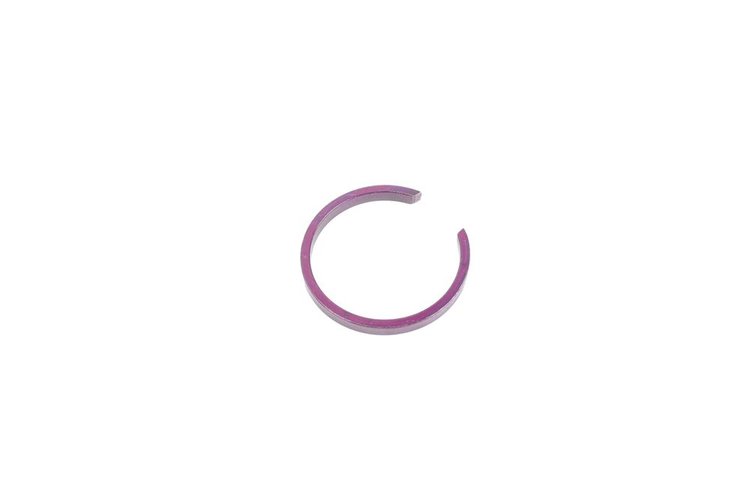 RING-FRT WHL DR (SLP-1)