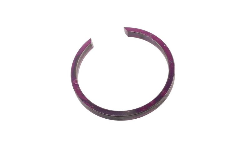 RING-FRT WHL DR (SLP-1)
