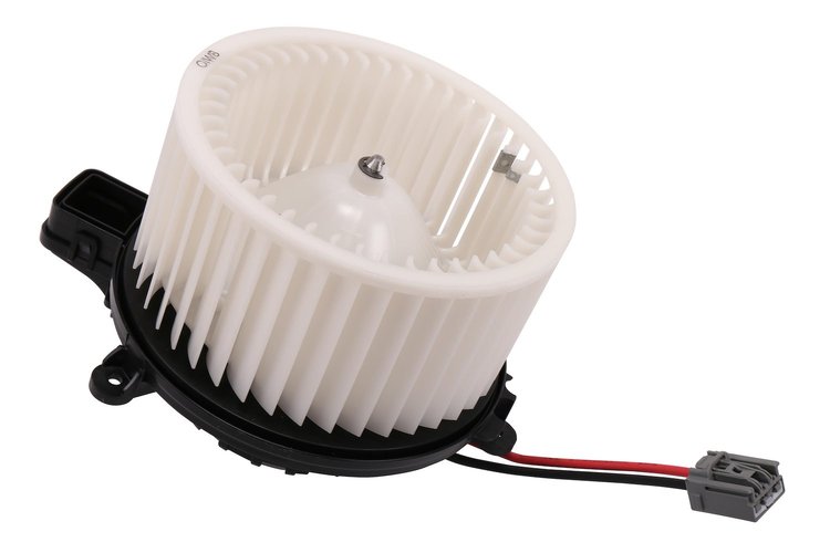 MOTOR ASM-BLO (SLP)