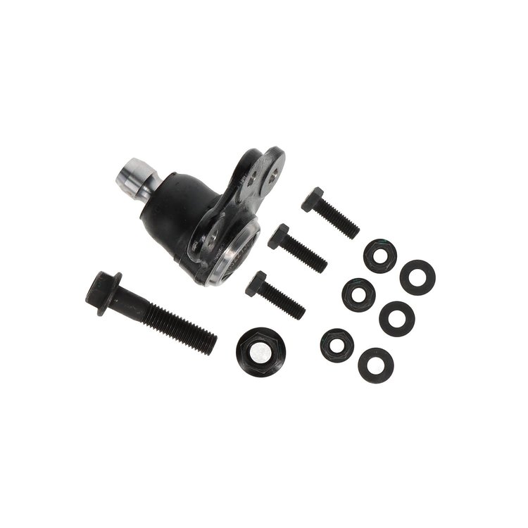 Front Lower Sus (SLP)