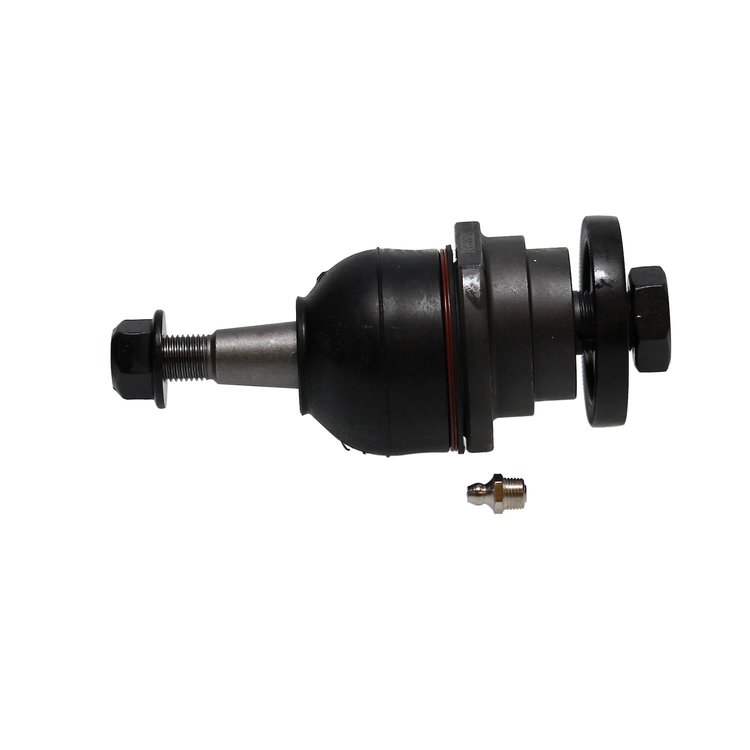Front Upper Sus (SLP)