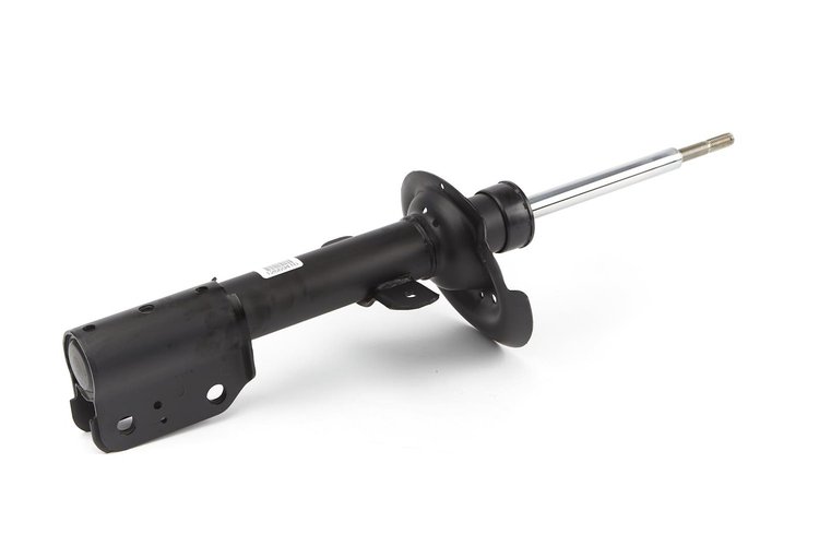 STRUT ASM-RR SUSP