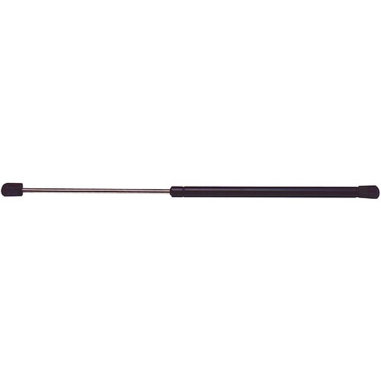 STRUT ASM R/CMPT LID