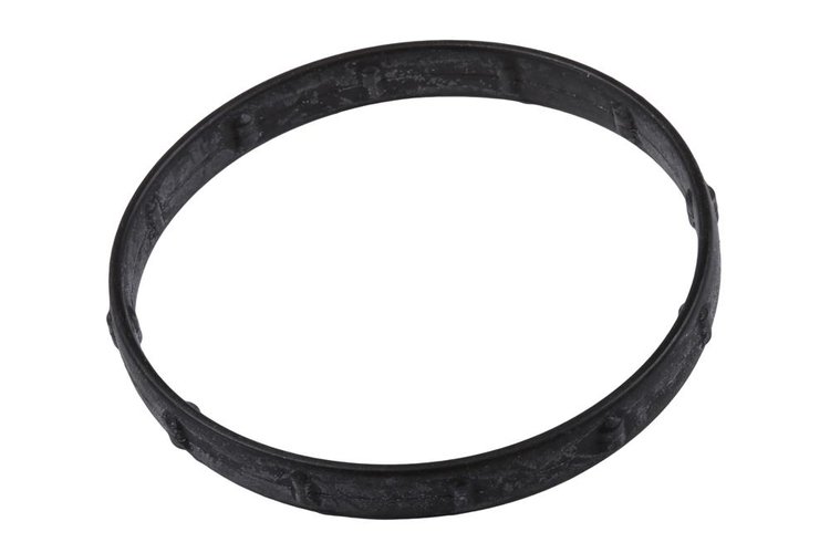 GASKET-ENG COOL (SLP)