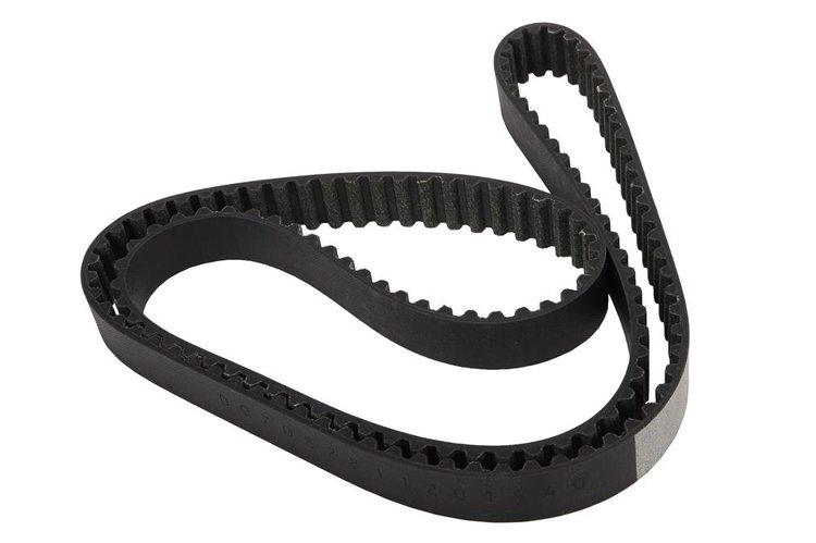 BELT-TMG (SLP-P1)