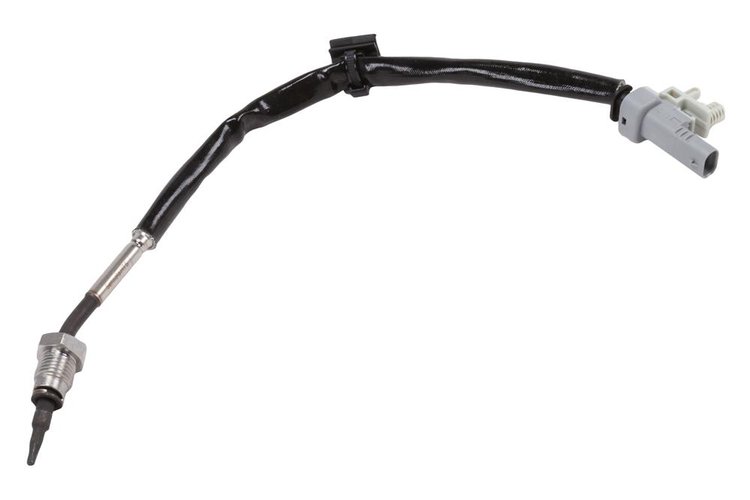 SENSOR ASM-EGR (SLP-1)