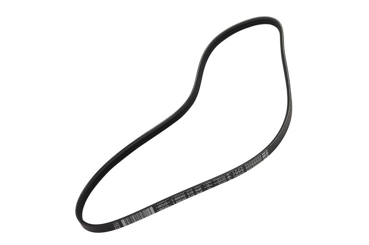 V-Ribbed Serpen (SLP-P1)
