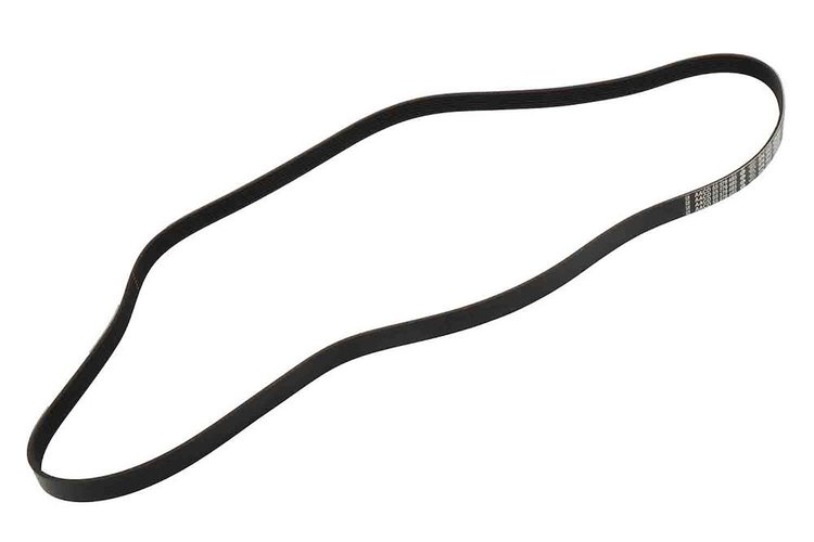 V-Ribbed Serpen (SLP-P1)