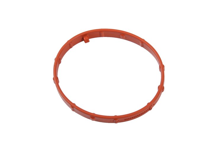 GASKET-EGR PIPE (PARITY)