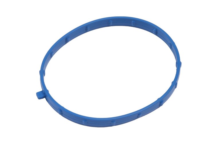 GASKET-THROT BO (93)