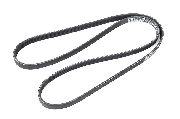 V-Ribbed Serpen (SLP-P1)