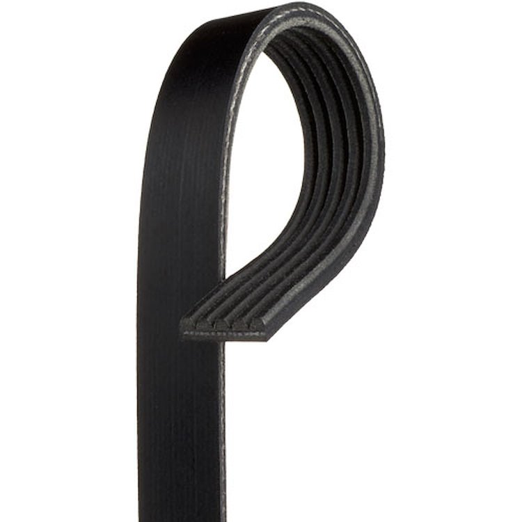 BELTSERPENTINE ACDELCO AL