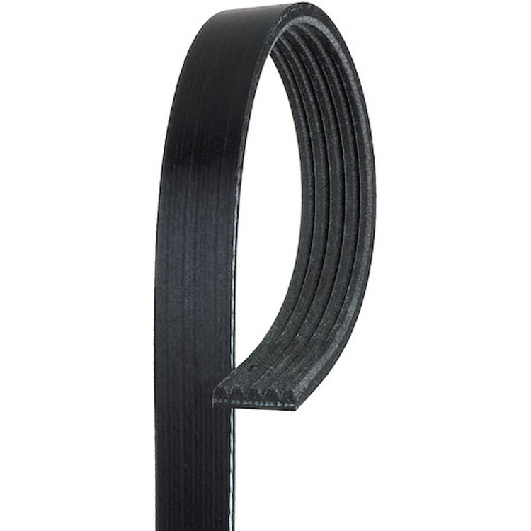 5K435 Standard V-Ribbed Serpentine Belt