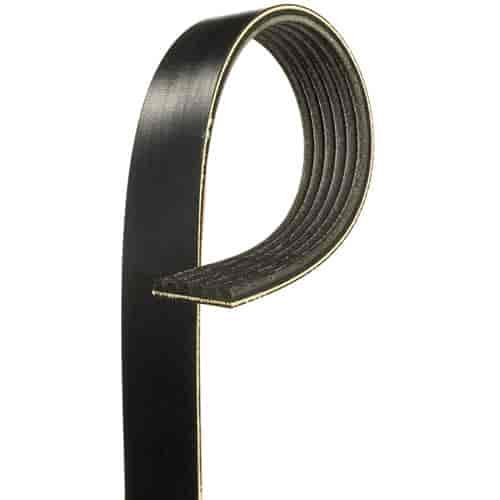 V-Ribbed Serpen (B)