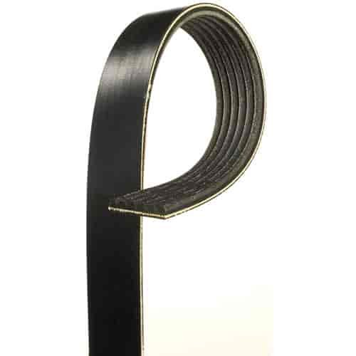 V-Ribbed Serpen (B)