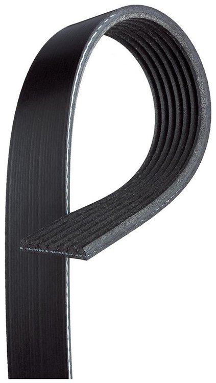 V-Ribbed Serpen (B)