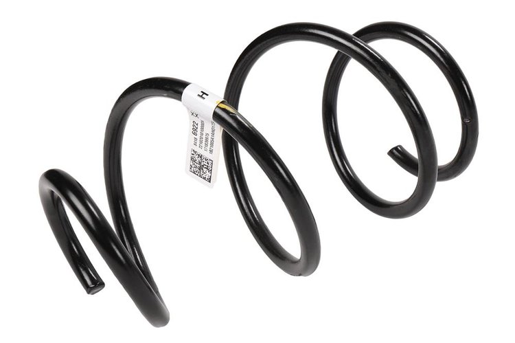 SPRING-FRT COIL (B)