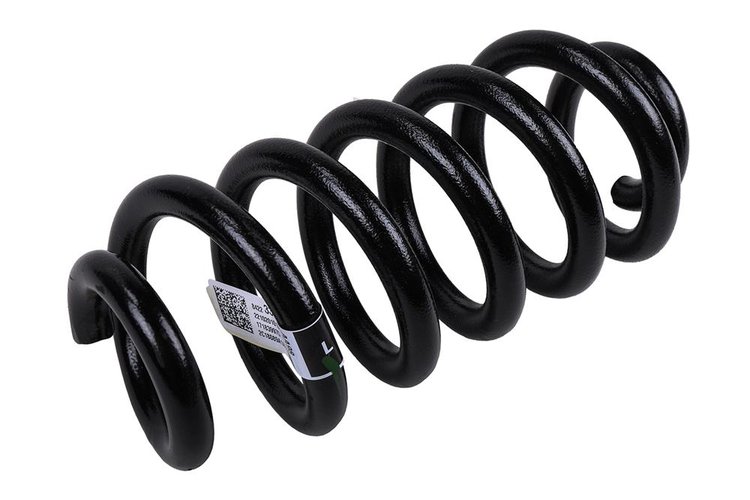 SPRING-RR COIL (B)