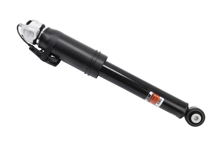Rear Passenger (SLP-1)
