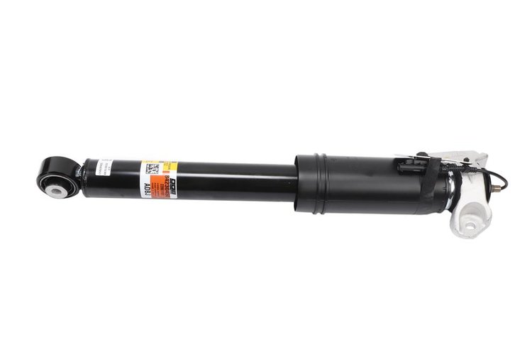 Rear Passenger (SLP-1)