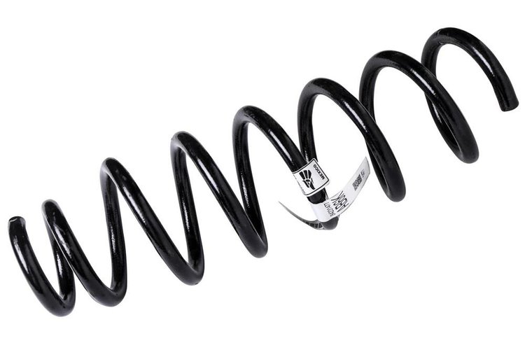 SPRING-FRT COIL (B)