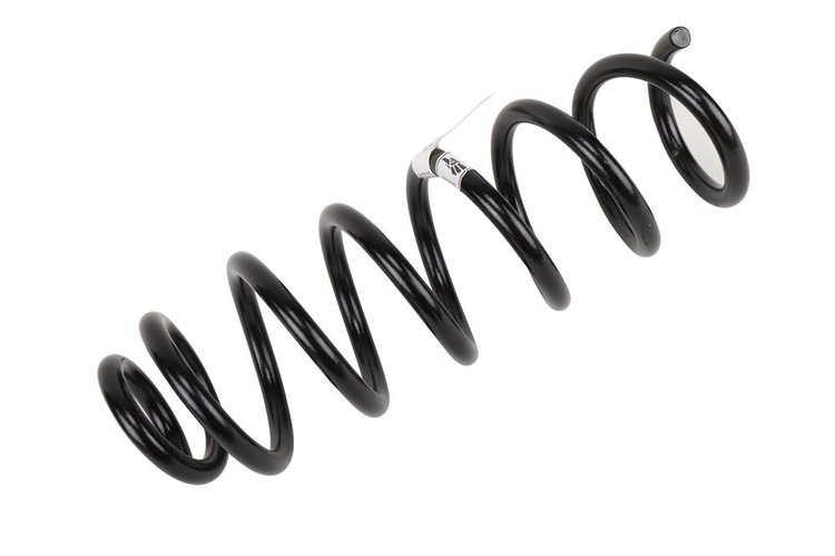 SPRING-FRT COIL (B)