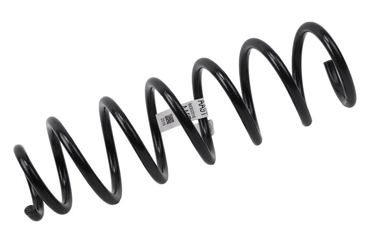 SPRING-RR COIL (B)