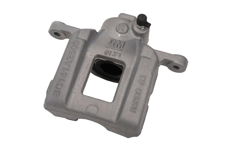 CALIPER ASM-RR (SLP-1)