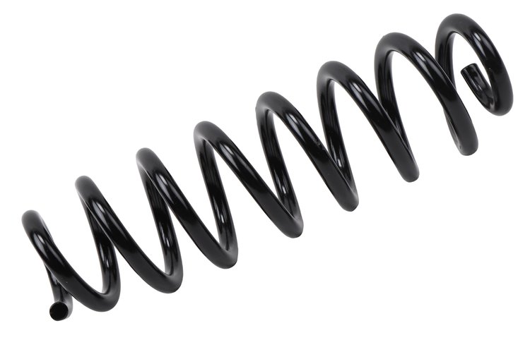 SPRING-RR COIL (92)