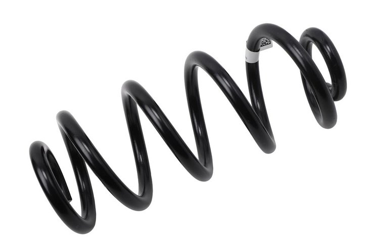 SPRING-RR COIL (B)