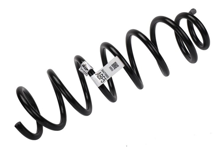 SPRING-RR COIL (B)