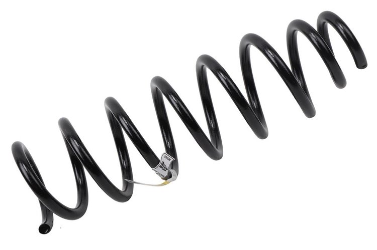 SPRING-FRT COIL (B)