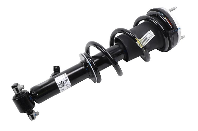 SPRING ASM-FRT COIL (B)