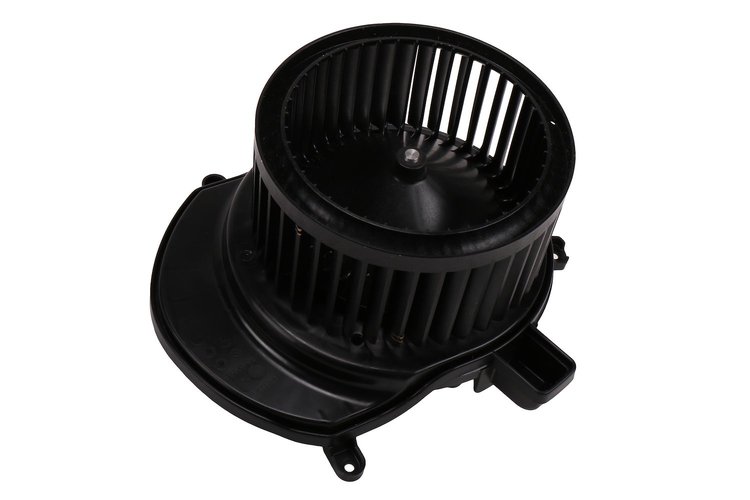 MOTOR ASM-BLO (SLP)