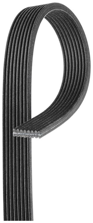 V-Ribbed Serpen (B)