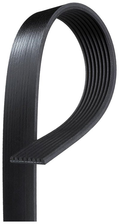 V-Ribbed Serpen (PARITY)