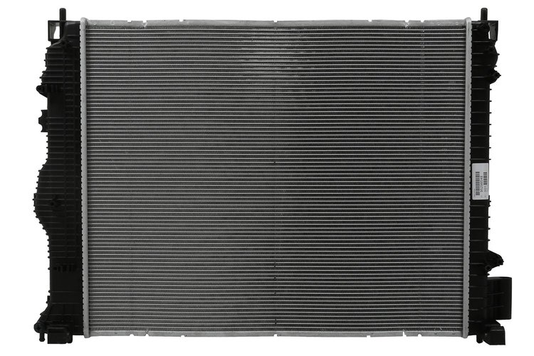 RADIATOR ASM (P1)