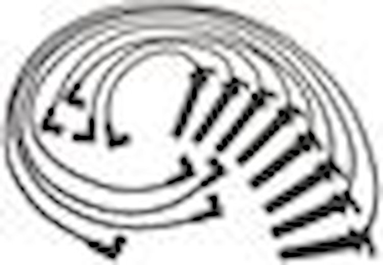 WIRE KIT SPLG