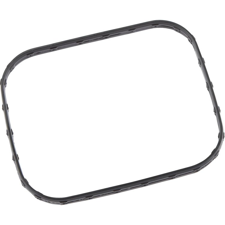 GASKET INT MANIF TUBE