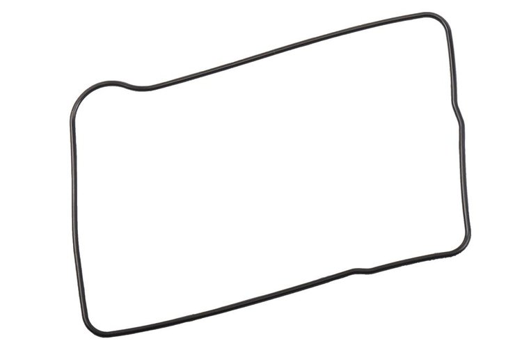 SEAL-ENG OIL CL (SLP-P1)