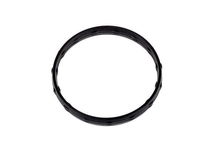 GASKET-CTR INT (SLP-P1)