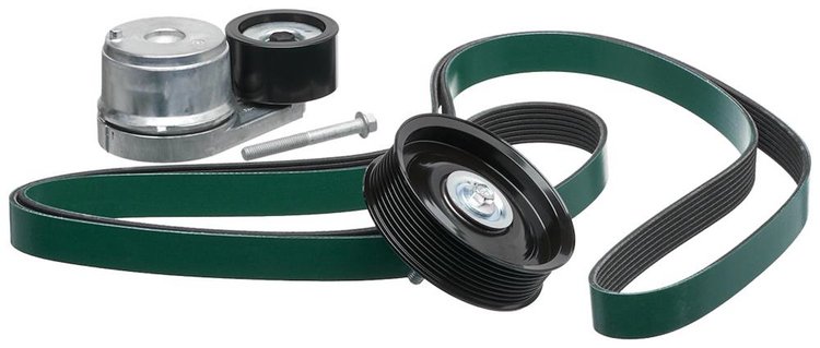 Automatic Belt (PARITY)