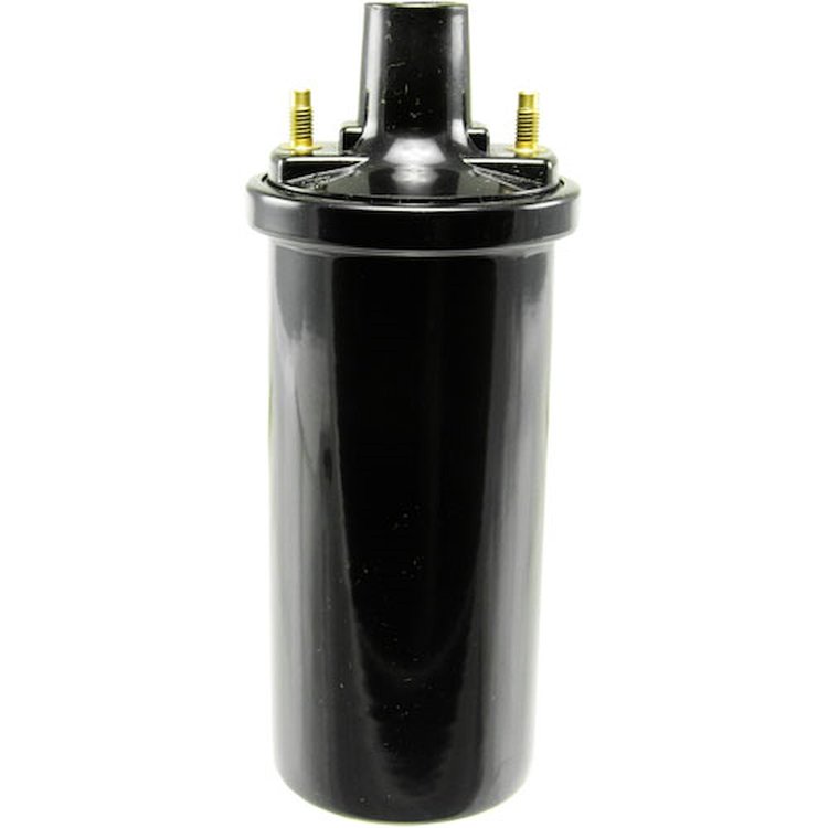COIL ASM IGN