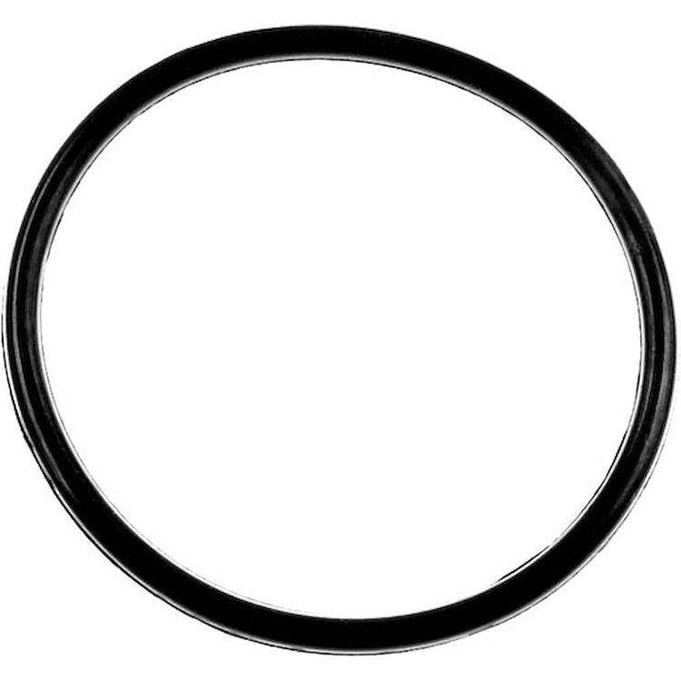 SEAL FUEL SDR O RING