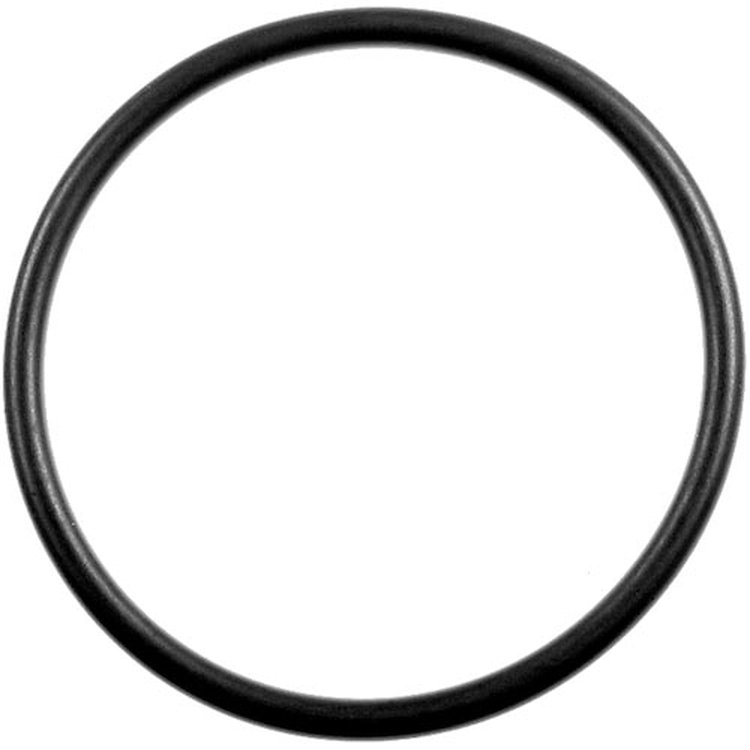 SEAL FUEL SDR O RING