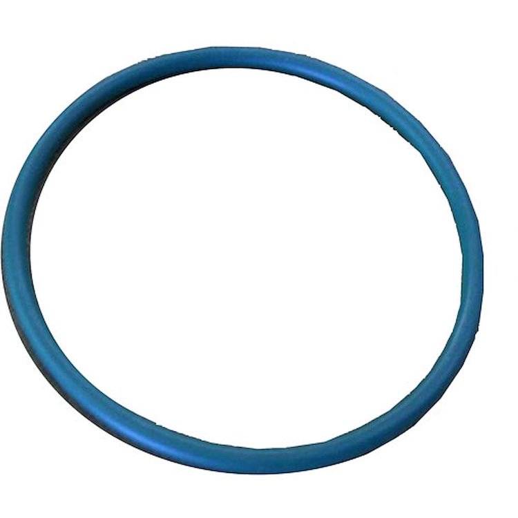 SEAL FUEL SDRO-RING