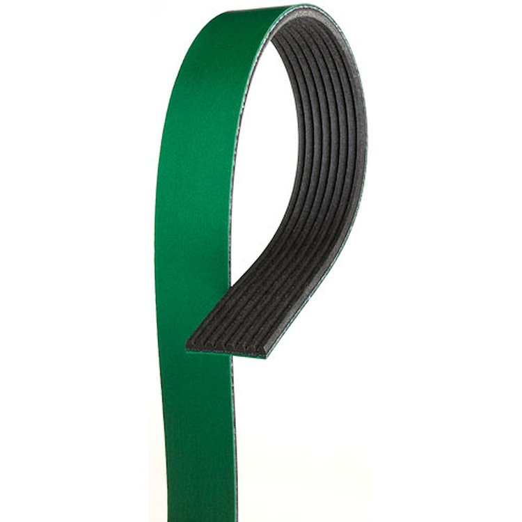 BELTSERPENTINE ACDELCO AL