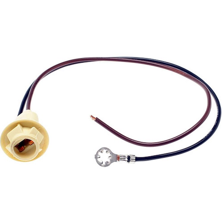 LS247 Multi-Purpose Light Socket
